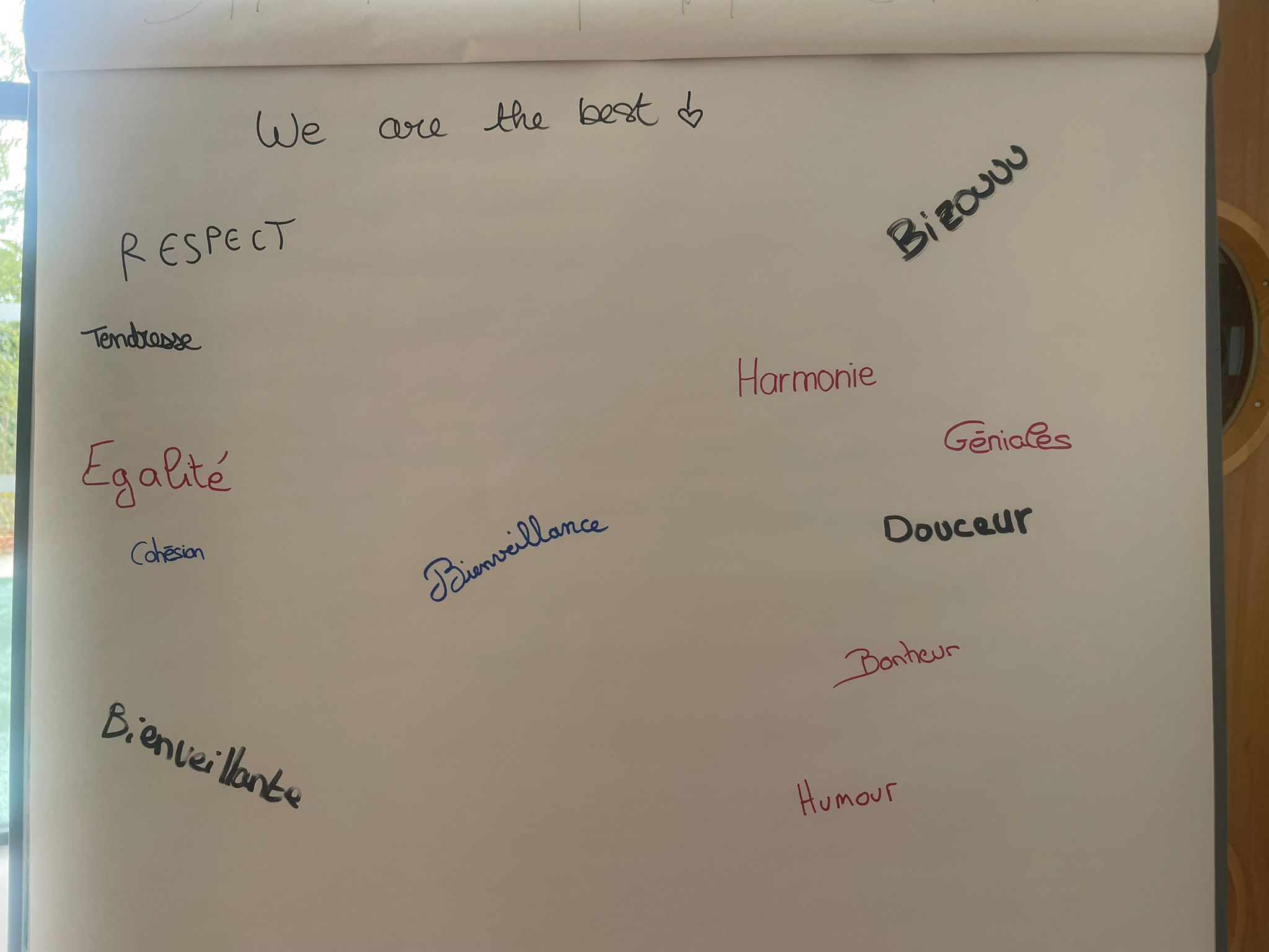 WhatsApp Image 2025-10-23 at 15.29.544